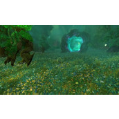 魔兽世界翡翠梦境传送门在哪 翡翠梦境传送门坐标位置