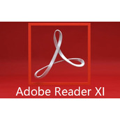 Adobe Reader XI怎么用？超详细教程来了！  
Adobe Reader XI怎么设置中文？轻松切换语言指南