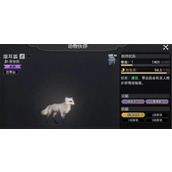 荒原曙光战宠系统怎么样-战宠系统介绍