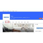 ozon中国卖家入驻指南-2026年ozon最新卖家入驻官网地址速查