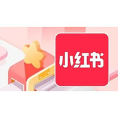 小红书官网网页版极速进入-小红书官网网页版镜像站丝滑秒开