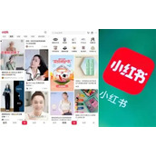 网页版小红书直达入口-免APP直接访问小红书网页版