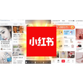 小红书网页版入口导航大全-小红书网页版多端入口一键直达