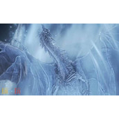 艾尔登法环黑夜君临雾中裂缝战斗指南 黑夜雾霾卡莉果弱点分析