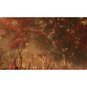 光与影33号远征队倒逆亲和效果分析：符文倒逆亲和的作用详解