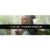 九牧之野华佗最强阵容怎么搭配 九牧之野华佗最强阵容搭配一览