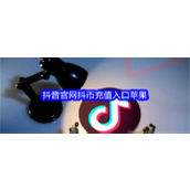 抖音官网抖币充值入口苹果版-抖音官网苹果手机充值在哪