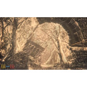 艾尔登法环黑夜君临队友死了怎么办 黑环可以在战斗中复活队友吗