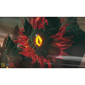 塞尔达无双封印战记最佳设置推荐 塞尔达无双封印战记怎么设置