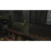 艾尔登法环黑夜君临女爵追忆任务奖励 祝福铁币获得任务的全流程详解