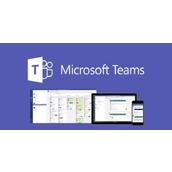 teams网页版会议快速入口-teams网页版一键登录入口