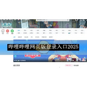 哔哩哔哩大会员专享入口-哔哩哔哩直播高清回放入口