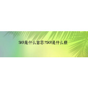 SKR到底啥意思？SKR这个梗怎么火起来的