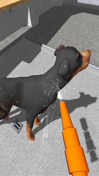 动物收容所模拟器游戏下载