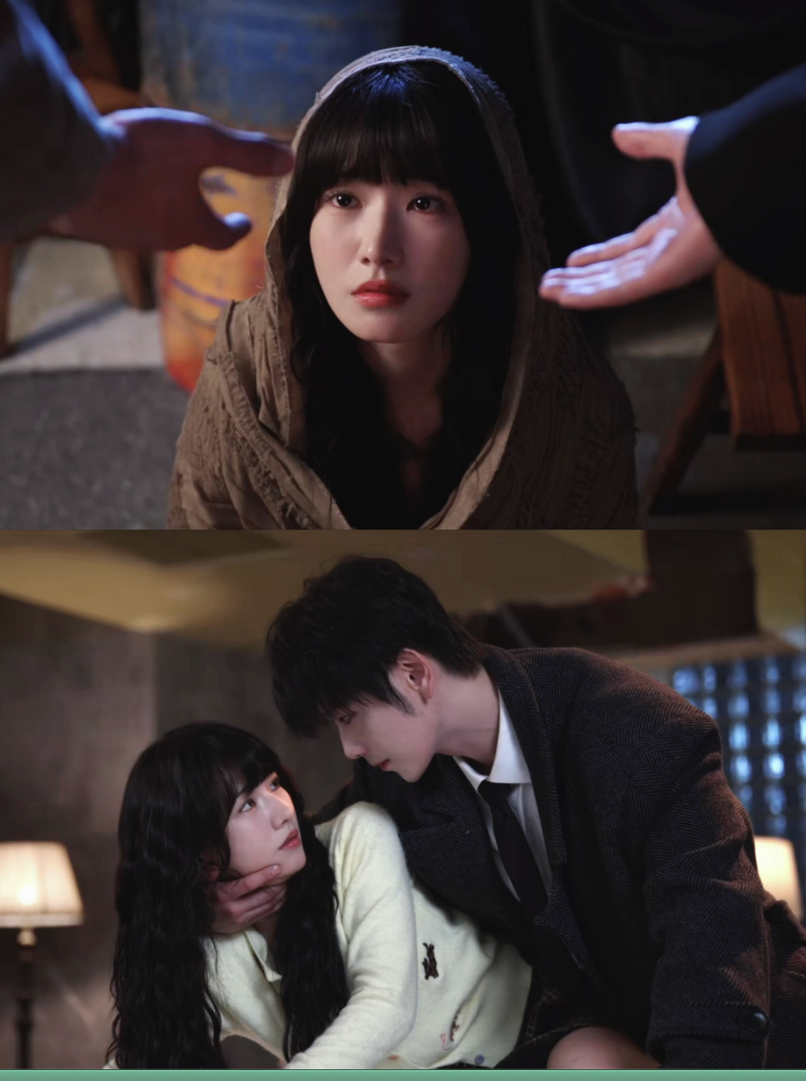 杨紫《生命树》在哪看？杨紫生命树全40集高清未删减在线观看入口地址