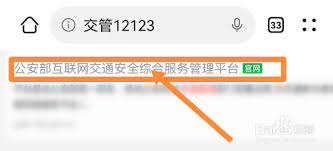 如何在线登录交管12123电脑版