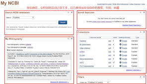 Pubmed官网怎么设置文献提醒