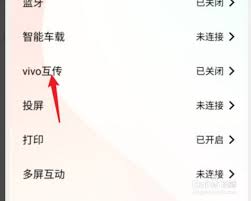 vivo互传官网入口在哪