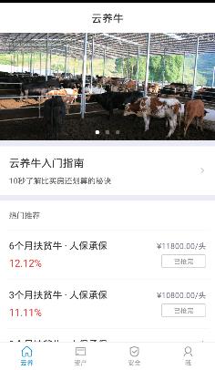 云养牛app 1