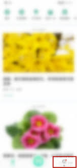 形色识花怎么删除拍摄的照片