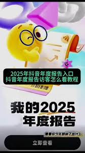 哪里能看QQ2025年度总结报告