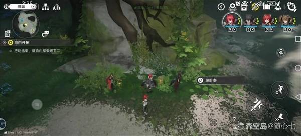 明日方舟终末地琼叶参采集点位说明 明日方舟终末地琼叶位置