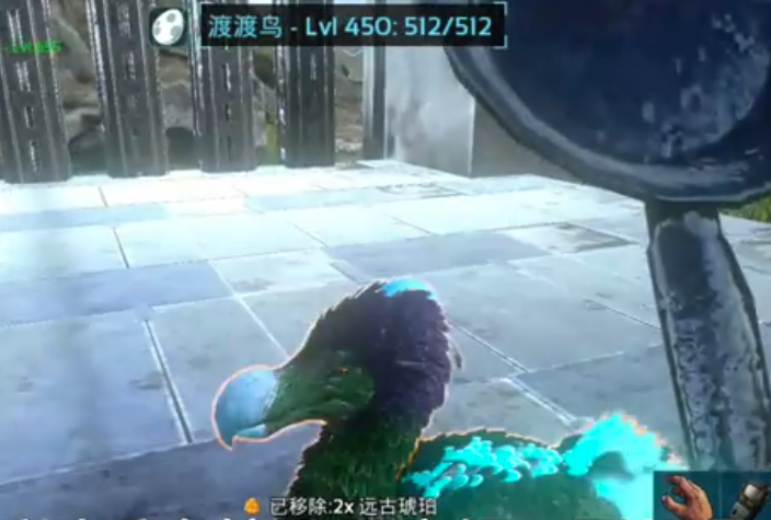方舟生存进化手游渡渡鸟培养指南 方舟生存进化手游巨型渡渡鸟驯服与升级全攻略