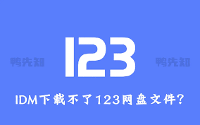 123网盘为什么无法下载文件