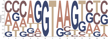 MATLAB如何绘制字母M