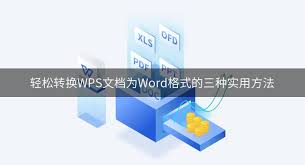 WPS格式怎么转换
