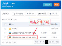 如何进行城通网盘下载安装