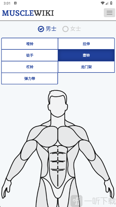 Muscle Wiki