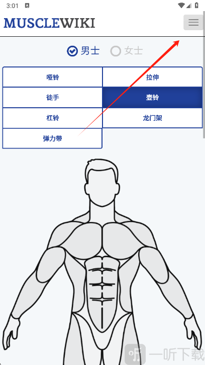 Muscle Wiki