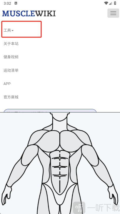 Muscle Wiki