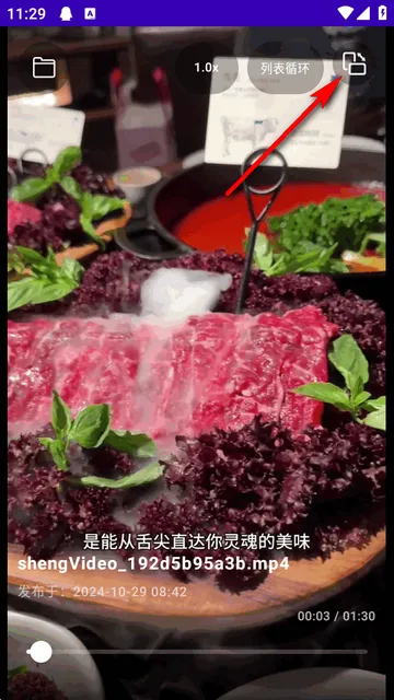 TikAlbum(本地视频播放器)