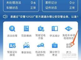 交管12123如何查询办证进度