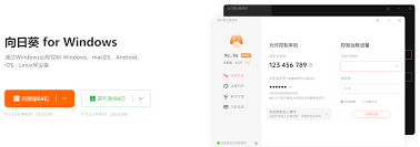 向日葵远程控制软件如何开启自动检查网络