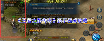 王者之路传奇新手如何养成