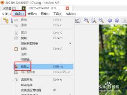 怎样在XnView里启用自动修剪功能