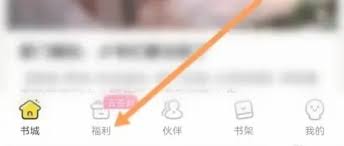 点点穿书app历史充值记录在哪里查看