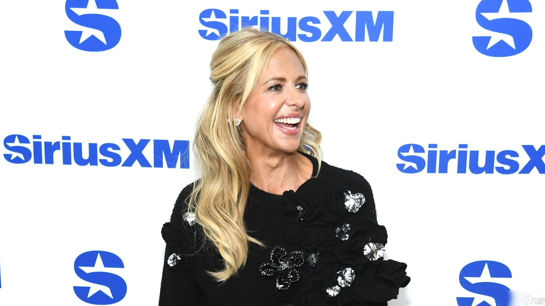 “你无法理解我们的愿景”——莎拉·米歇尔·盖拉告诫《Buffy》粉丝勿读外泄重启剧本