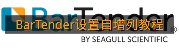 《BarTender》设置自增列教程