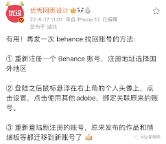 Adobe禁止中国使用的后果是什么