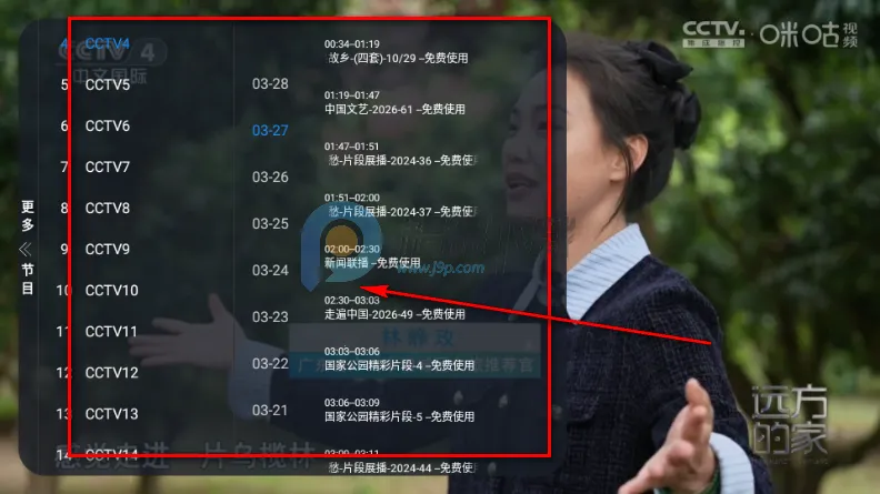 网视TV电视版(电视直播应用)