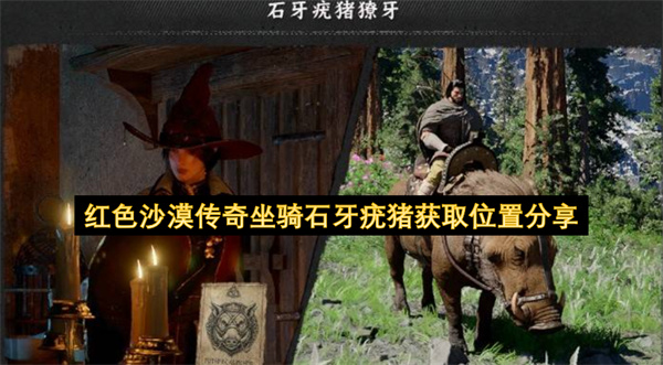 红色沙漠传奇坐骑石牙疣猪获取位置分享
