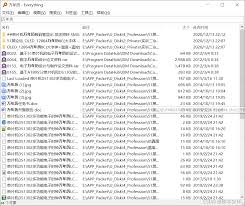 如何用everything查找全部文件