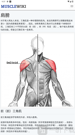 MuscleWiki中文版
