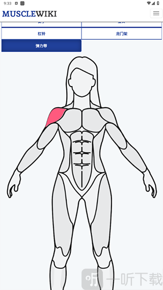 MuscleWiki中文版