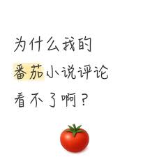 番茄免费小说网络错误是怎么回事