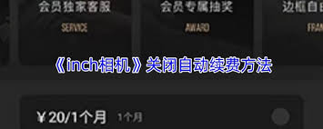 inch相机如何导入图片